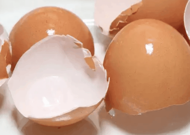 Jangan Dibuang! Ini Cara Membuat Pupuk Kulit Telur Alami untuk Tanaman Subur