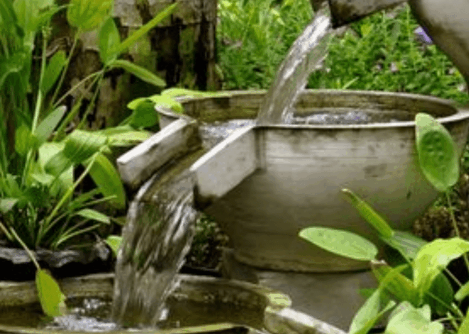 5 Tips Siram Tanaman Bebas Nyamuk: Panduan Jitu dari Ahli agar Rumah Aman