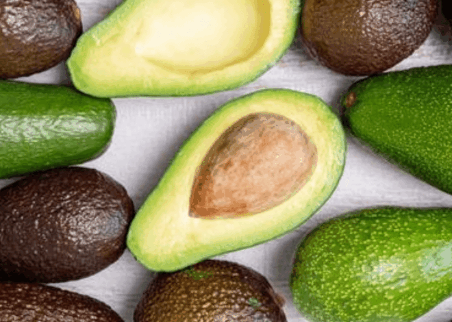 Menanam Alpukat dari Biji: Panduan Lengkap Hingga Panen