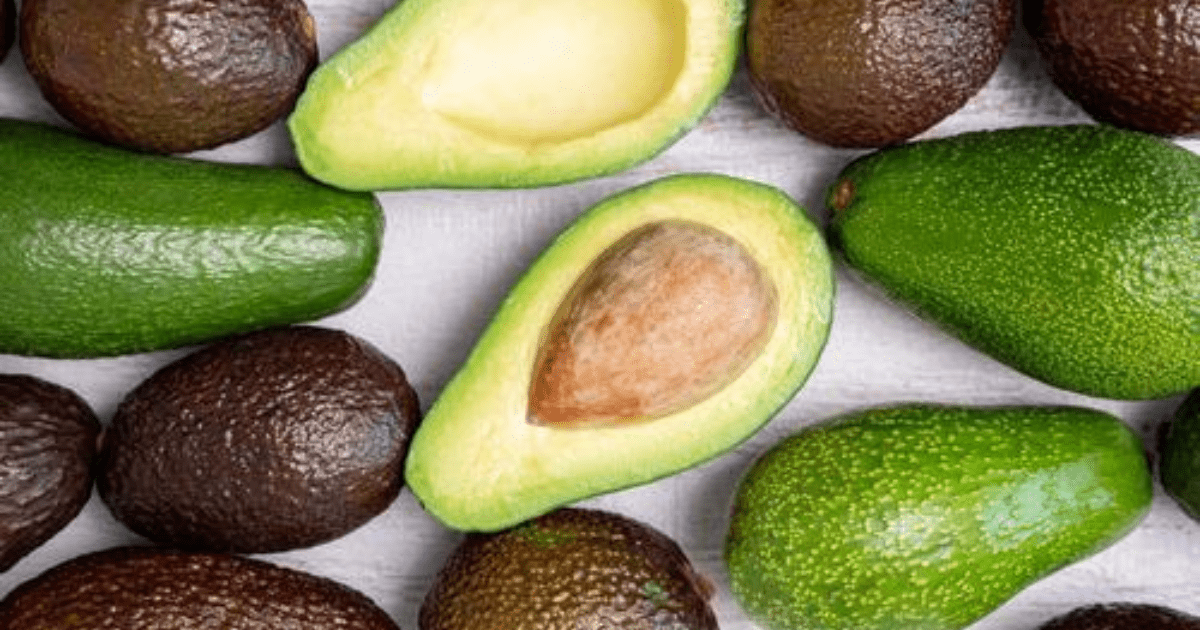 Menanam Alpukat dari Biji: Panduan Lengkap Hingga Panen