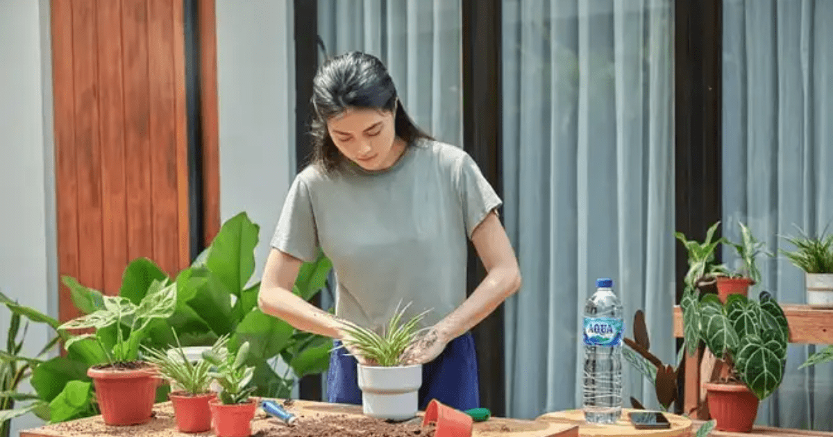 Manfaat Berkebun di Rumah: Rahasia Kesehatan Holistik dan Penangkal Penyakit Kronis