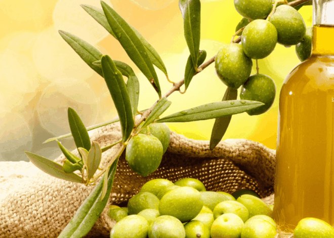 Selain Bahan Kosmetik, Minyak Zaitun Bagus untuk Taman Rumah!