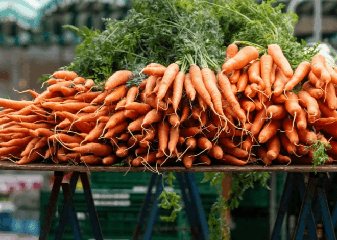5 Sayuran Tahan Cuaca: Pilihan Terbaik di Iklim Panas dan Dingin