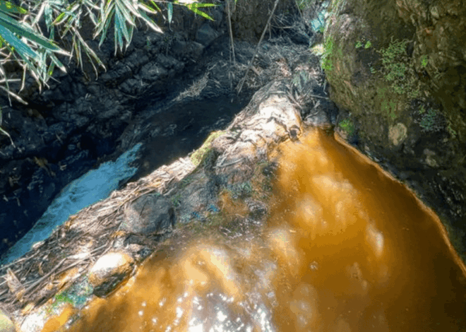 Sumber Air Panas Jatiyoso: Permata Tersembunyi di Lereng Lawu Selatan