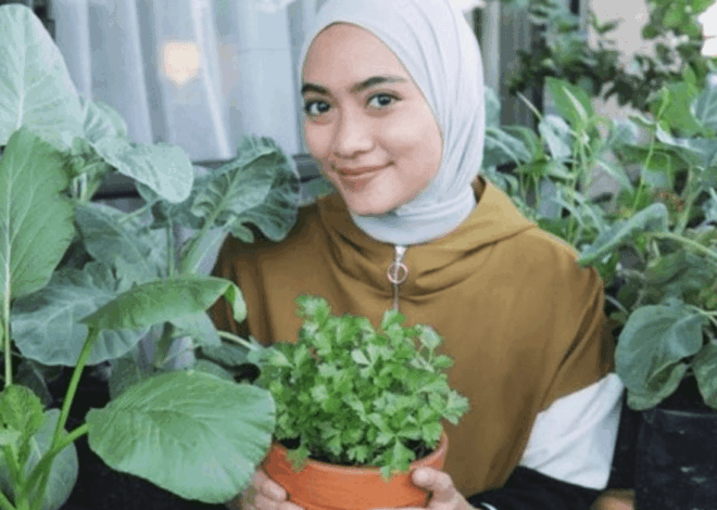 Memetik Laba dari Tren Berkebun di Rumah yang Terus Berlanjut