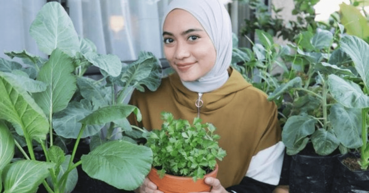 Memetik Laba dari Tren Berkebun di Rumah yang Terus Berlanjut