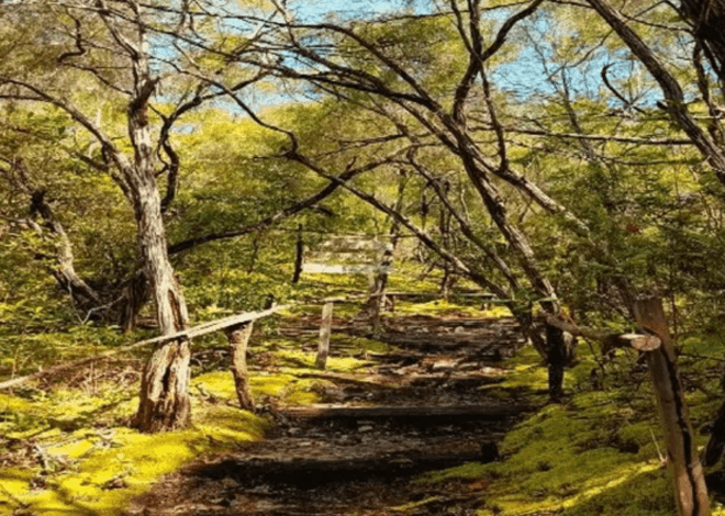 Pesona Gunung Lumut di Timur Belitung: Menjelajahi ‘The Lord of The Rings’ Versi Nyata