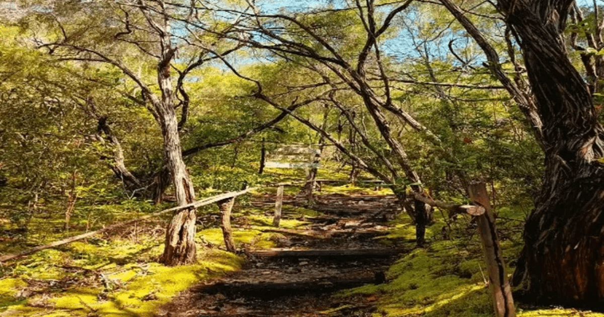 Pesona Gunung Lumut di Timur Belitung: Menjelajahi ‘The Lord of The Rings’ Versi Nyata