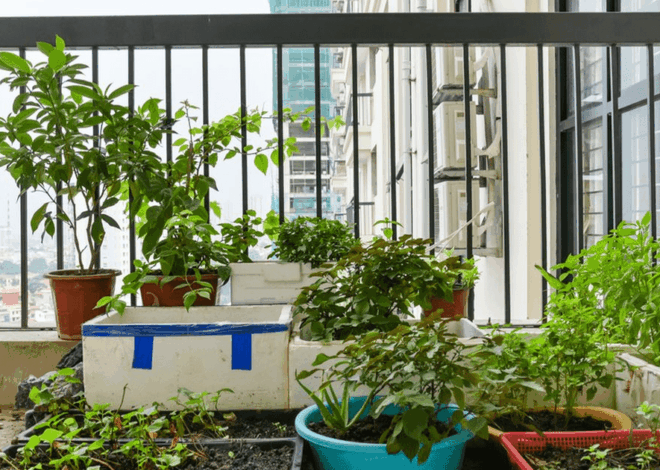 Berkebun di Apartemen: 5 Tips Mudah Bagi Pemula untuk Menciptakan Taman Vertikal