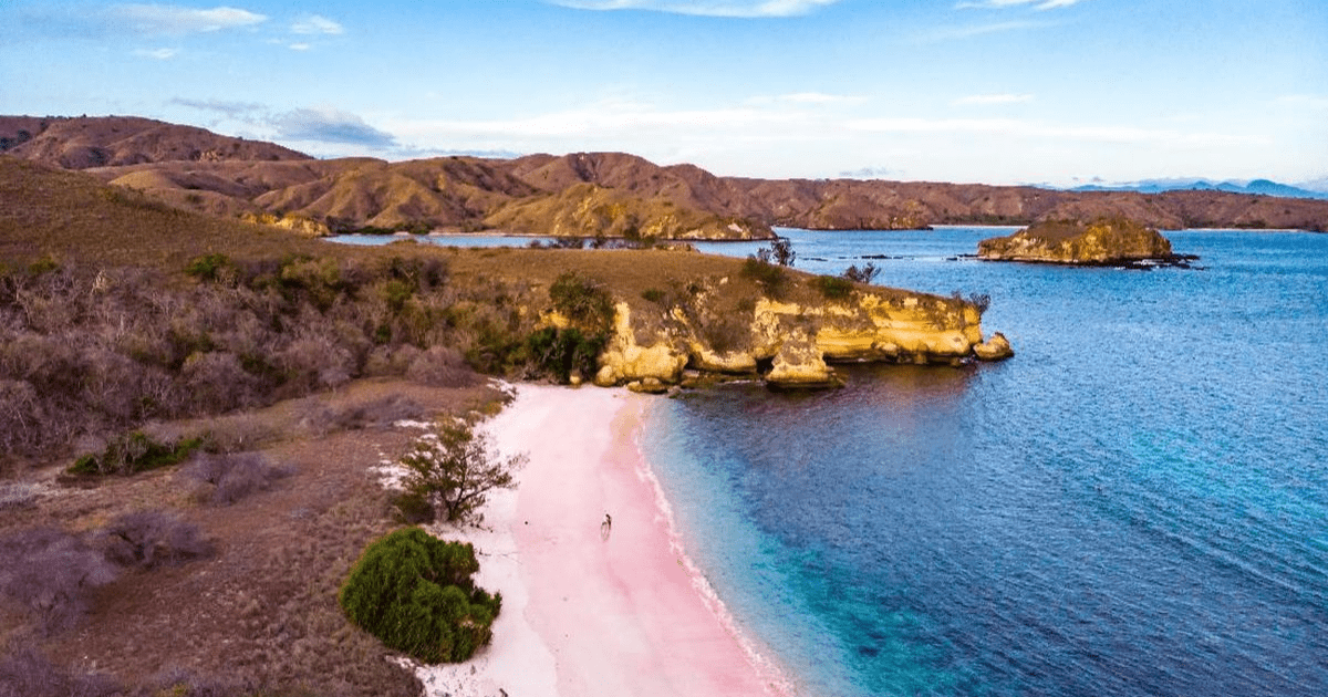 Pulau Komodo Destinasi Terbaik Dunia 2026: Mengukuhkan Ekowisata Indonesia
