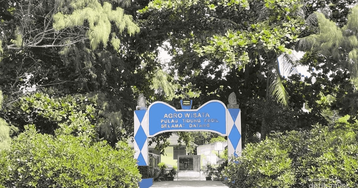 Pulau Tidung Kecil Konservasi: Sentra Perlindungan Laut dan Ekowisata Kepulauan Seribu