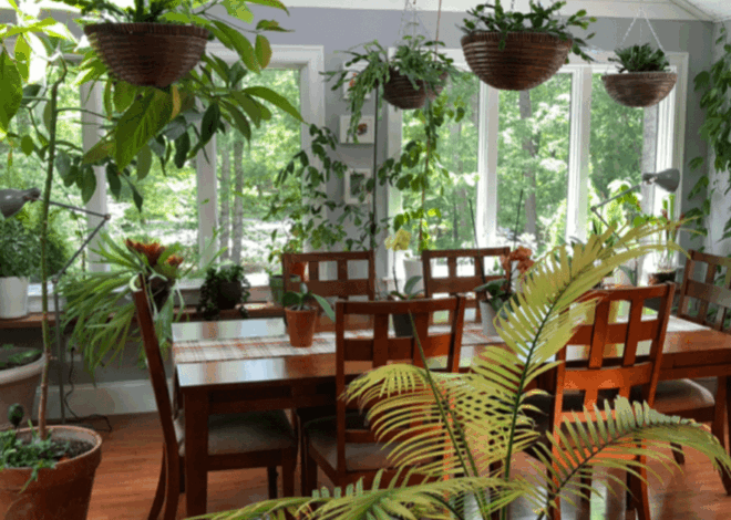 Tips Interior Hutan Mini: Cara Mudah Hadapi Keterbatasan Lahan