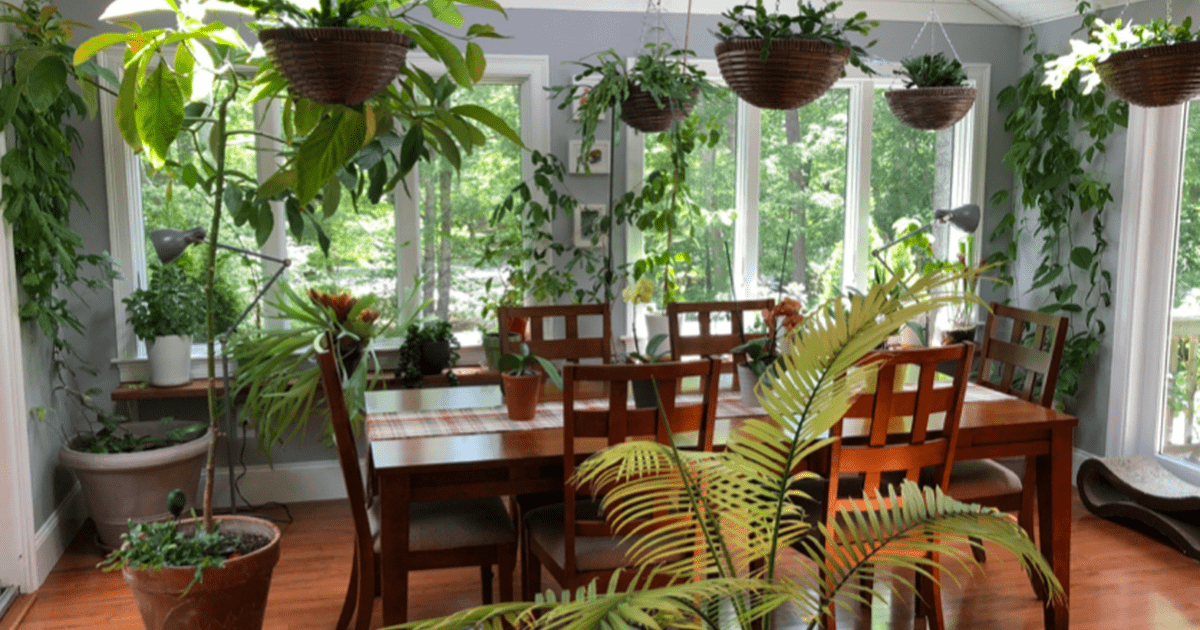 Tips Interior Hutan Mini: Cara Mudah Hadapi Keterbatasan Lahan