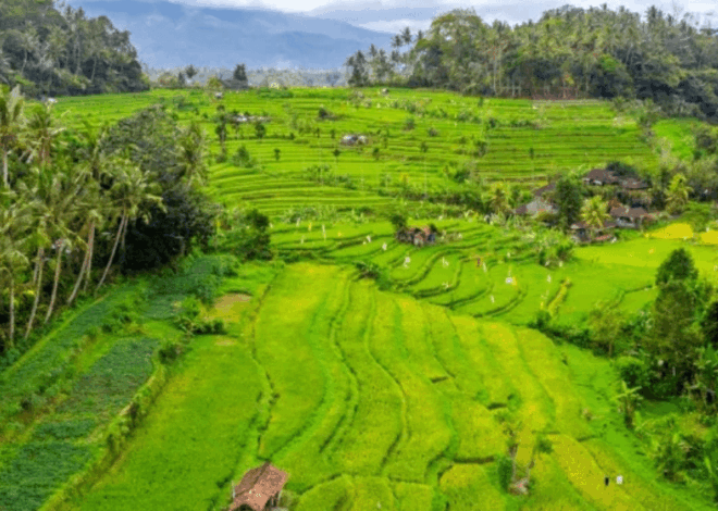 Tren Wisata 2026: Wellness, Kuliner Lokal, dan Alam Jadi Favorit