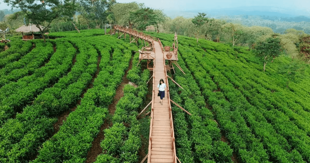 Wisata Alam Malang Raya: 7 Destinasi Hemat untuk Healing Mahasiswa
