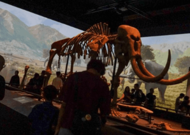 Museum Nasional Indonesia Jadi Tujuan Favorit untuk Liburan Sambil Belajar