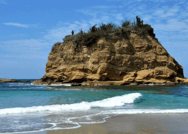 Mencekam! Polisi Selidiki Penemuan Kepala Manusia di Pantai Ekuador