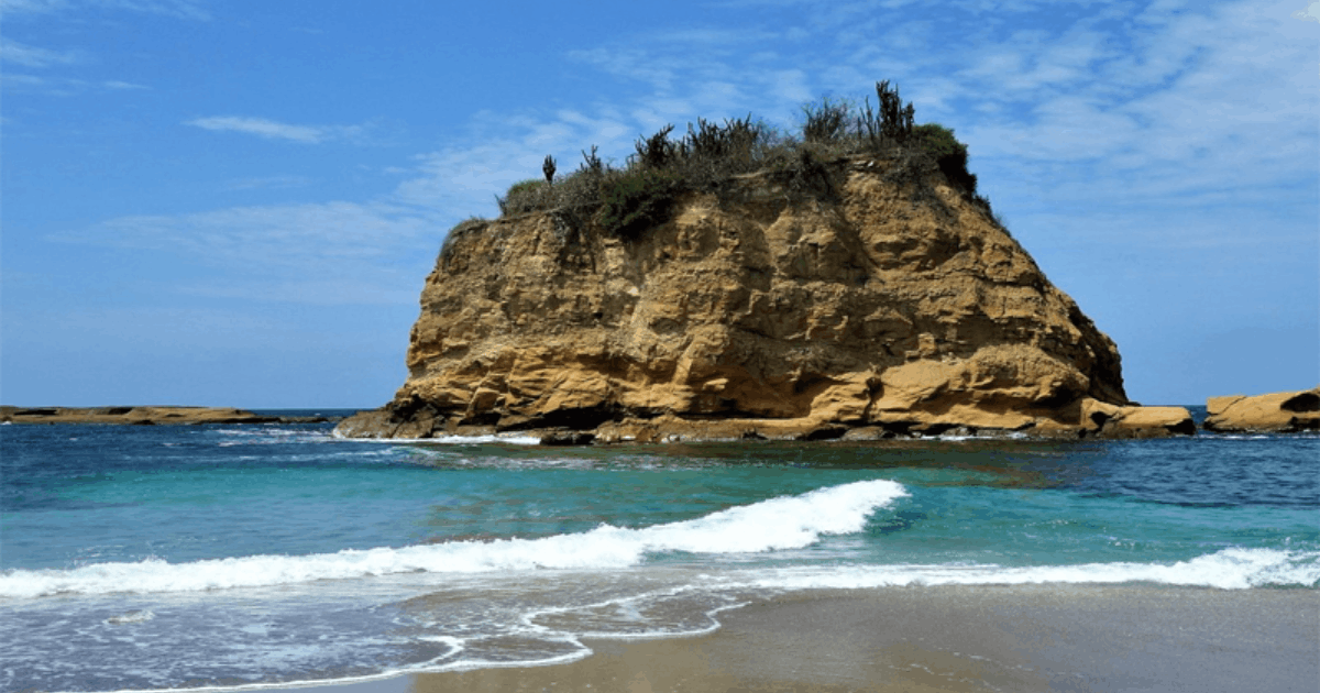 Mencekam! Polisi Selidiki Penemuan Kepala Manusia di Pantai Ekuador