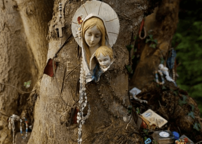 Biara Kuno Terungkap: Jejak Sejarah Ditemukan di Lemanaghan Irlandia