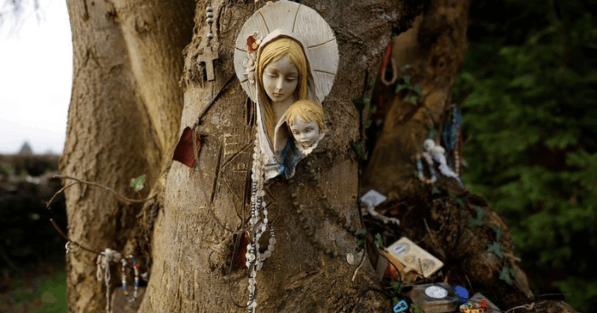 Biara Kuno Terungkap: Jejak Sejarah Ditemukan di Lemanaghan Irlandia