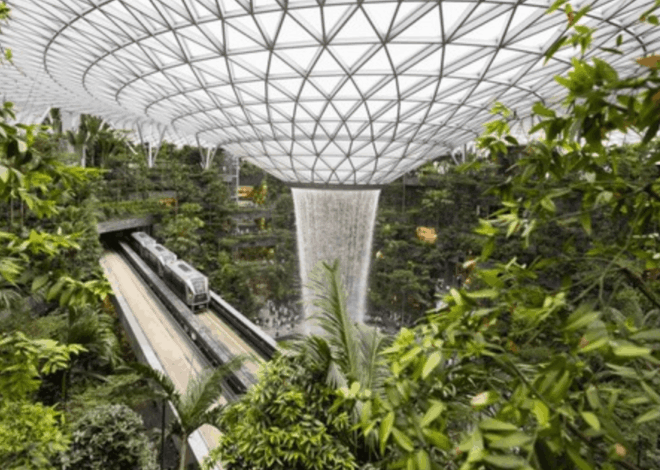 Bahaya! Kesalahan Nyaris Fatal Terjadi di Bandara Changi Singapura