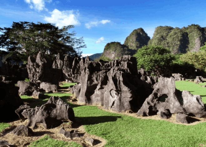Leang-leang: Lokasi Hilangnya Pesawat ATR yang Simpan Sejarah Manusia
