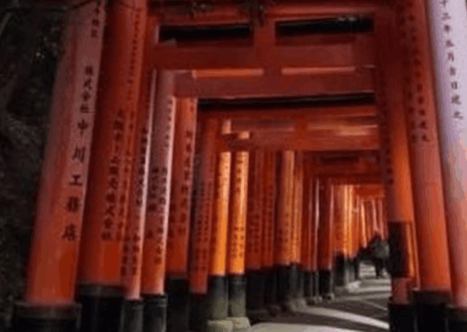 Miris! Pohon Bambu di Jepang Dicoret-coret Turis, Warga Lokal Geram