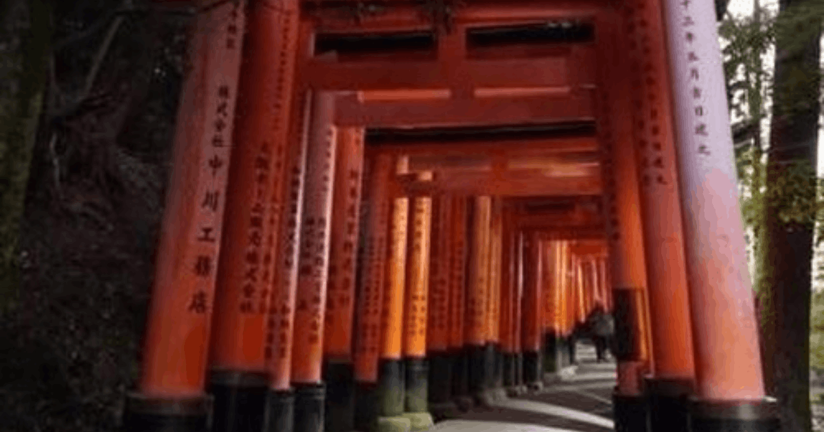 Miris! Pohon Bambu di Jepang Dicoret-coret Turis, Warga Lokal Geram