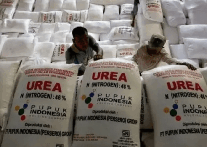 Tahun Baru 2026: Penebusan Pupuk Bersubsidi Capai 147 Transaksi