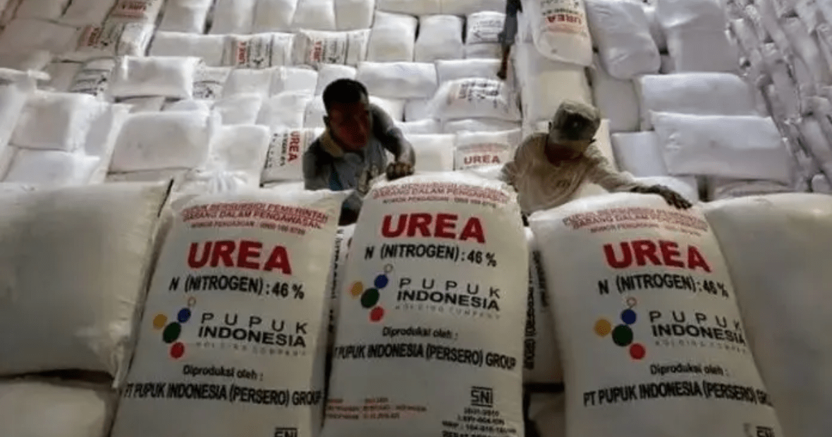 Tahun Baru 2026: Penebusan Pupuk Bersubsidi Capai 147 Transaksi