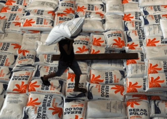 RI Tak Impor Beras dan Gula Tahun Ini: Cek Kebijakan Impor Pangan