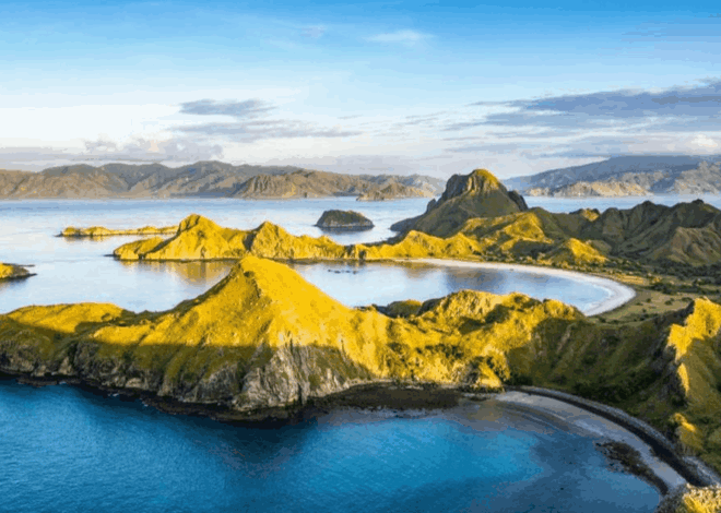 Turis Ilegal di TN Komodo: ASITA Minta Agen Wisata Ilegal yang Ditangkap!