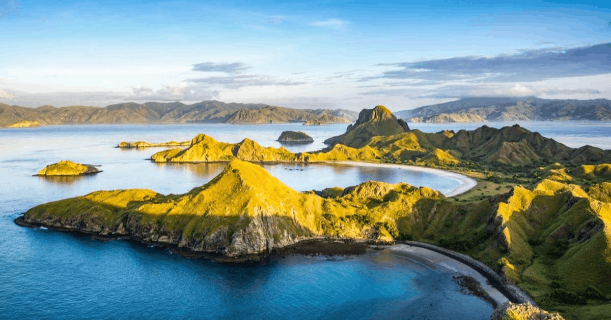 Turis Ilegal di TN Komodo: ASITA Minta Agen Wisata Ilegal yang Ditangkap!