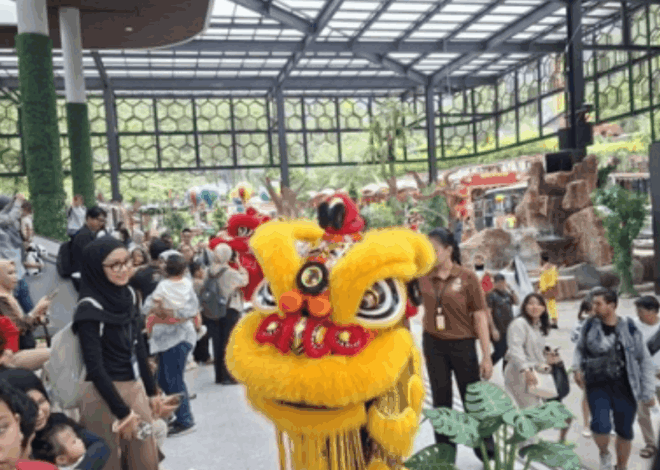 Taman Safari Ramai Wisatawan Saat Imlek: Targetkan 10.000 Orang!