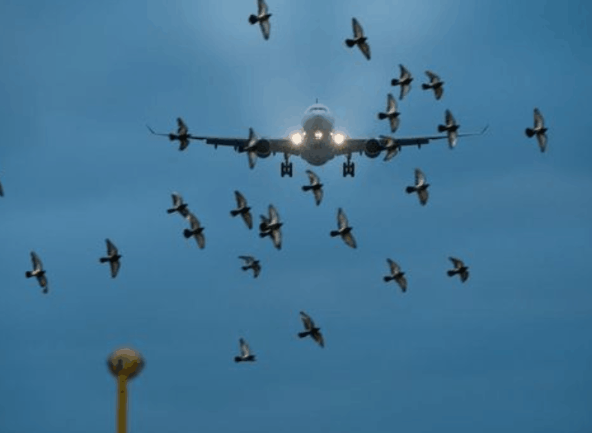 Luar Biasa! Kejadian Aneh di Pesawat Ini Pernah Benar-benar Terjadi