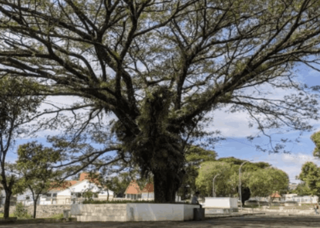 Rahasia Situs Jambansari Ciamis: Kolam Keramat yang Tak Pernah Kering!