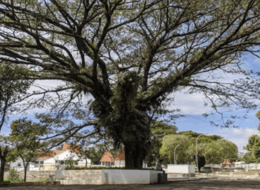 Rahasia Situs Jambansari Ciamis: Kolam Keramat yang Tak Pernah Kering!