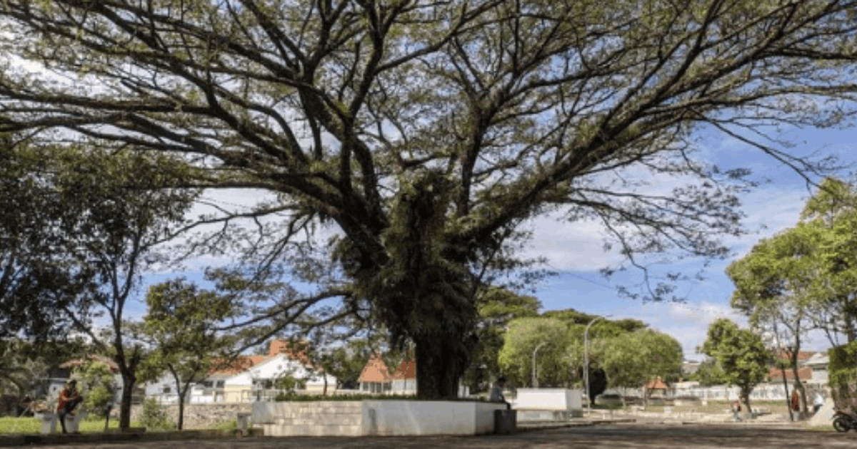 Rahasia Situs Jambansari Ciamis: Kolam Keramat yang Tak Pernah Kering!