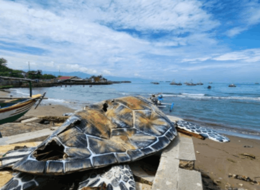 Alun-alun Gadobangkong Viral: Nasib Ikon Wisata Usai Isu Penyu