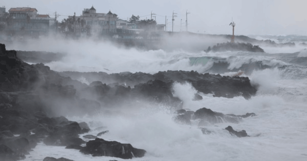Badai Salju Lebat Pulau Jeju: Ribuan Turis Terjebak di Bandara!