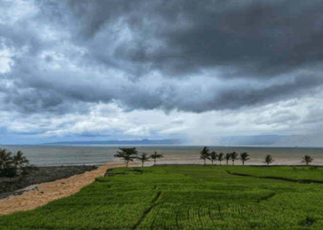 Viral! Fenomena Lautan Kopi Susu Palabuhanratu Gegerkan Warga Sekitar