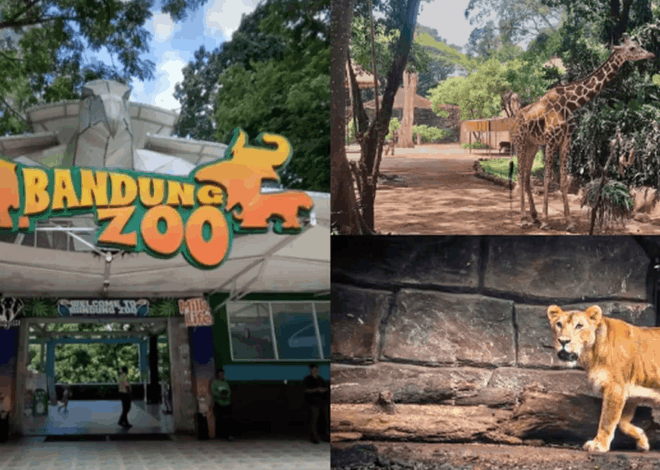 Farhan Janji Jaga Nasib Satwa Bandung Zoo Usai Aksi Penyegelan