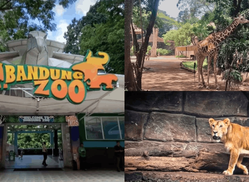 Farhan Janji Jaga Nasib Satwa Bandung Zoo Usai Aksi Penyegelan