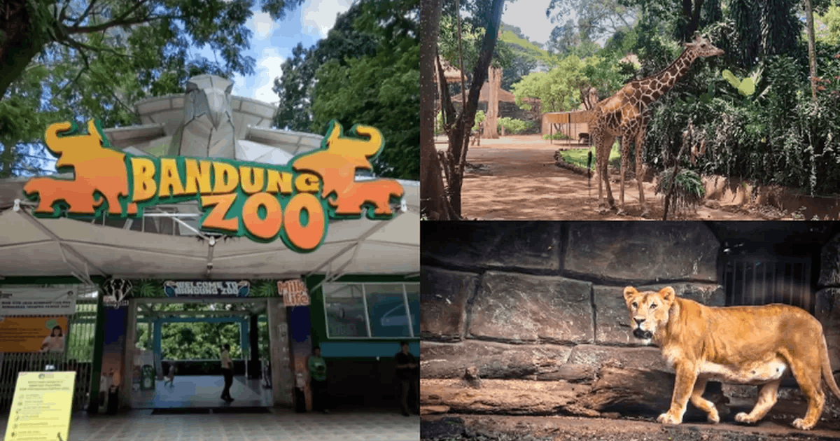 Farhan Janji Jaga Nasib Satwa Bandung Zoo Usai Aksi Penyegelan