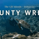 Penyelaman di Gili Meno