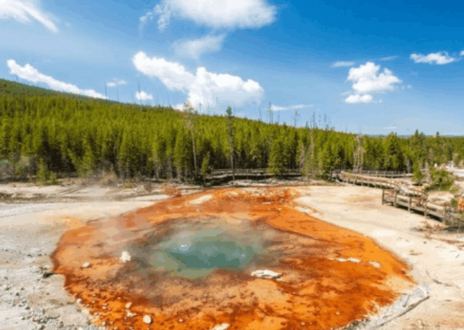 Fenomena Langka! Geyser Asam Terbesar di Dunia Kembali Meletus