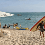 Dana Pungutan Wisatawan