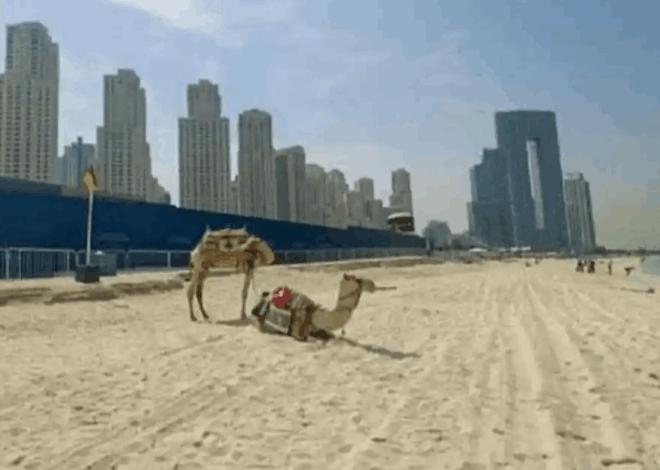 Ngeri! Eksodus Turis dari Dubai Bikin Kota Ini Bak Kota Hantu