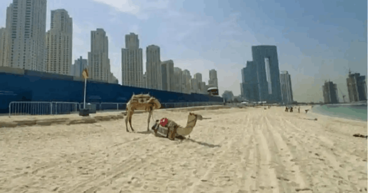 Ngeri! Eksodus Turis dari Dubai Bikin Kota Ini Bak Kota Hantu