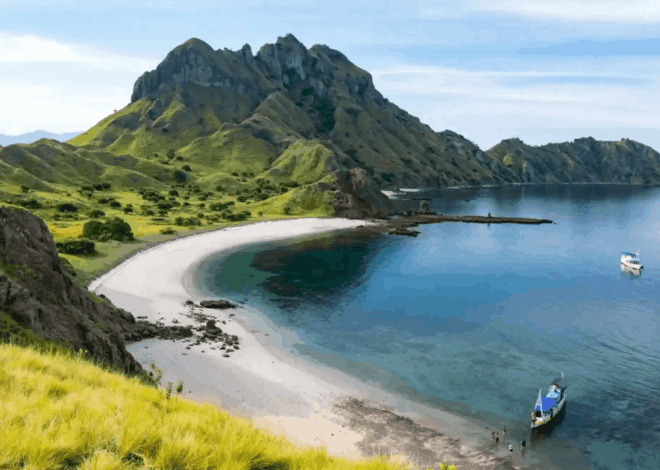 Taman Nasional Komodo Terindah Dunia: Raih Posisi Runner-Up